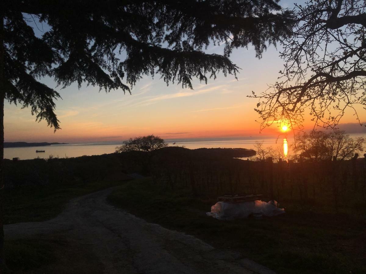 Appartamento Bella Vista Ancarano Esterno foto