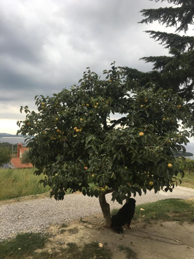 Appartamento Bella Vista Ancarano Esterno foto
