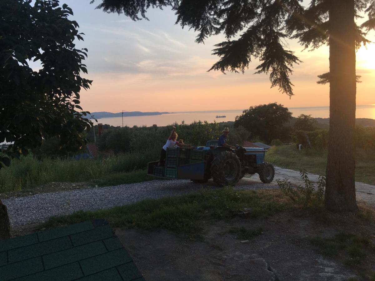 Appartamento Bella Vista Ancarano Esterno foto